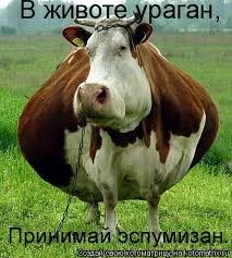 Без названия (21).webp