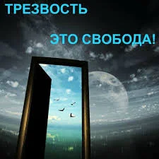 Без названия (22).webp