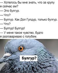 Без названия (24).jpeg