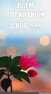 Без названия (25).webp