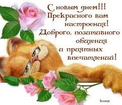 Без названия (27).webp