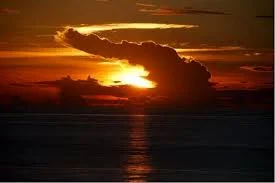 Без названия (27).webp