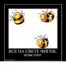 Без названия (27).webp