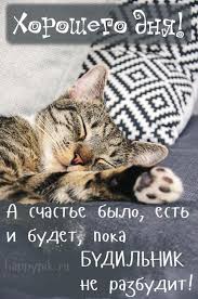 Без названия (3).jpeg