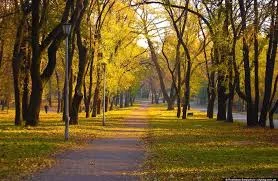 Без названия (3).webp