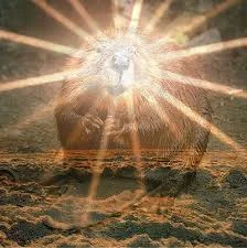 Без названия (3).webp