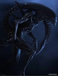 Без названия (3).webp