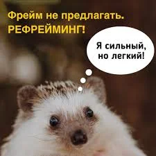 Без названия (3).webp