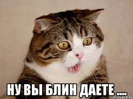 Без названия (3).webp