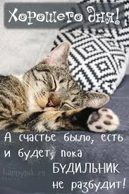 Без названия (3).webp