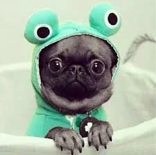 Без названия (3).webp