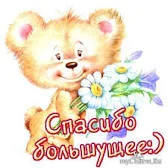 Без названия (3).webp