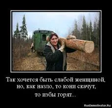 Без названия (3).webp