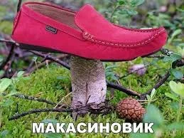 Без названия (3).webp