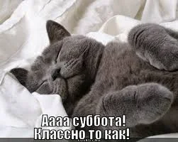 Без названия (3).webp