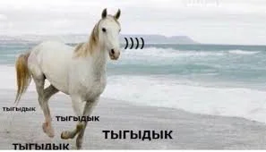 Без названия (3).webp