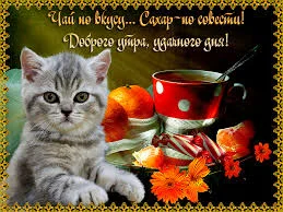 Без названия (3).webp