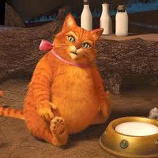 Без названия (3).webp