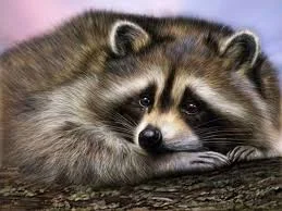 Без названия (3).webp