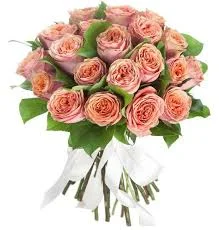 Без названия (3).webp