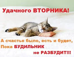 Без названия (3).webp