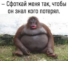 Без названия (3).webp