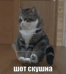 Без названия (3).webp