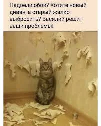 Без названия (31).webp