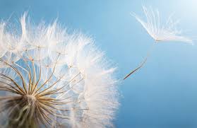 Без названия (32).jpeg