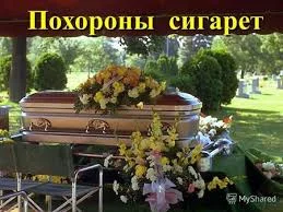 Без названия (32).webp