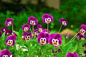 Без названия (34).webp