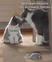 Без названия (35).webp