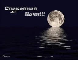 Без названия (35).webp