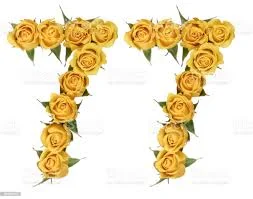 Без названия (36).webp