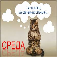 Без названия (4).jpeg