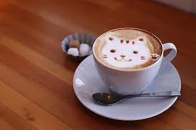 Без названия (4).webp