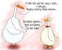 Без названия (4).webp