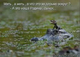 Без названия (4).webp