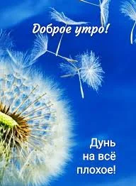 Без названия (4).webp