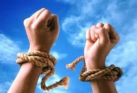 Без названия (4).webp