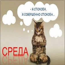 Без названия (4).webp