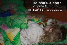 Без названия (4).webp