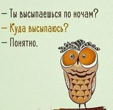 Без названия (4).webp