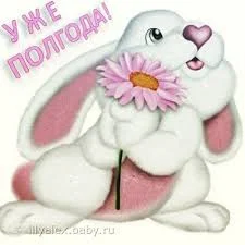 Без названия (4).webp