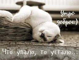 Без названия (4).webp