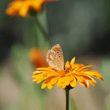 Без названия (4).webp