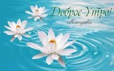 Без названия (4).webp