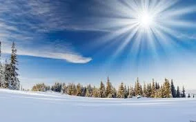 Без названия (4).webp