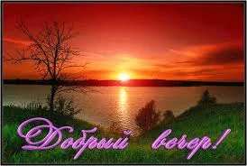 Без названия (4).webp