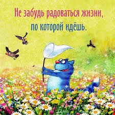 Без названия (4).webp